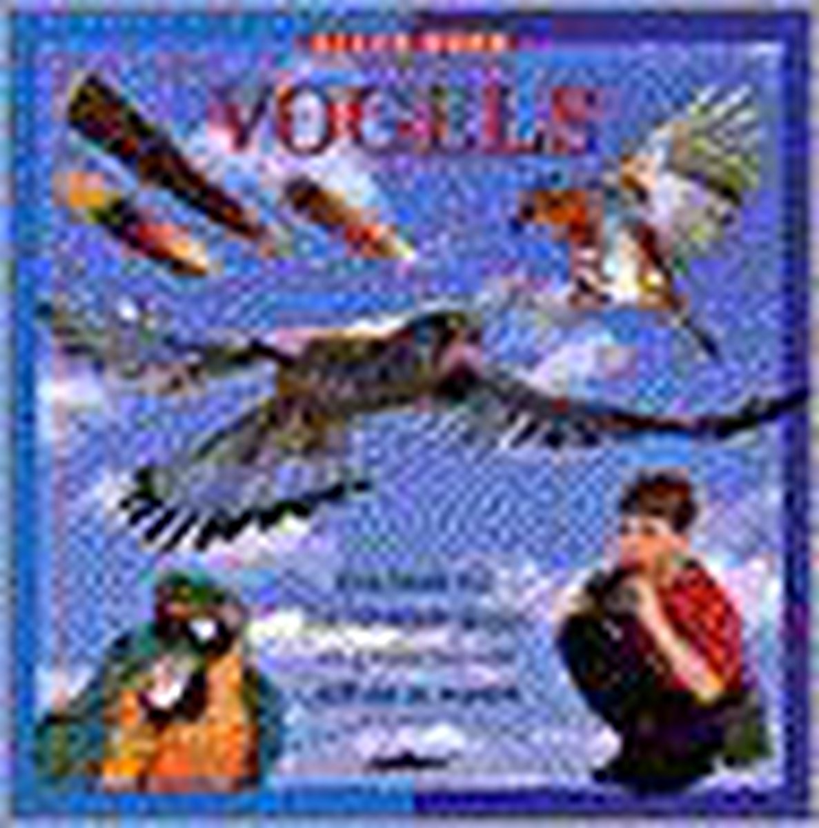 L'agonie de la IVe République