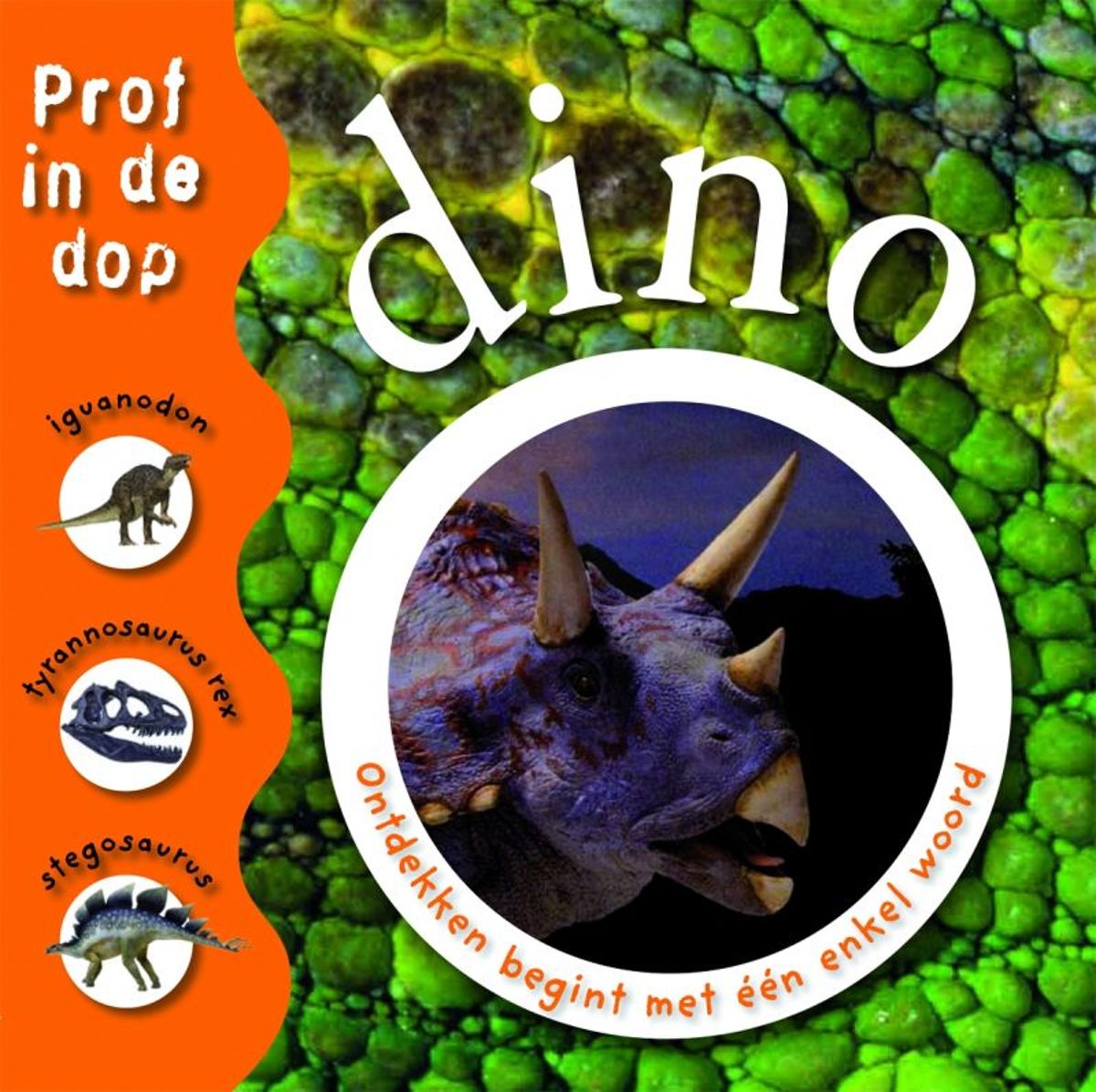 Prof in de dop / Dino