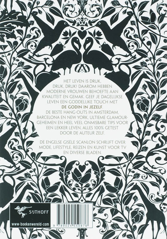 De Godin In Jezelf achterkant