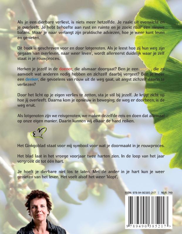 Licht op verlies achterkant