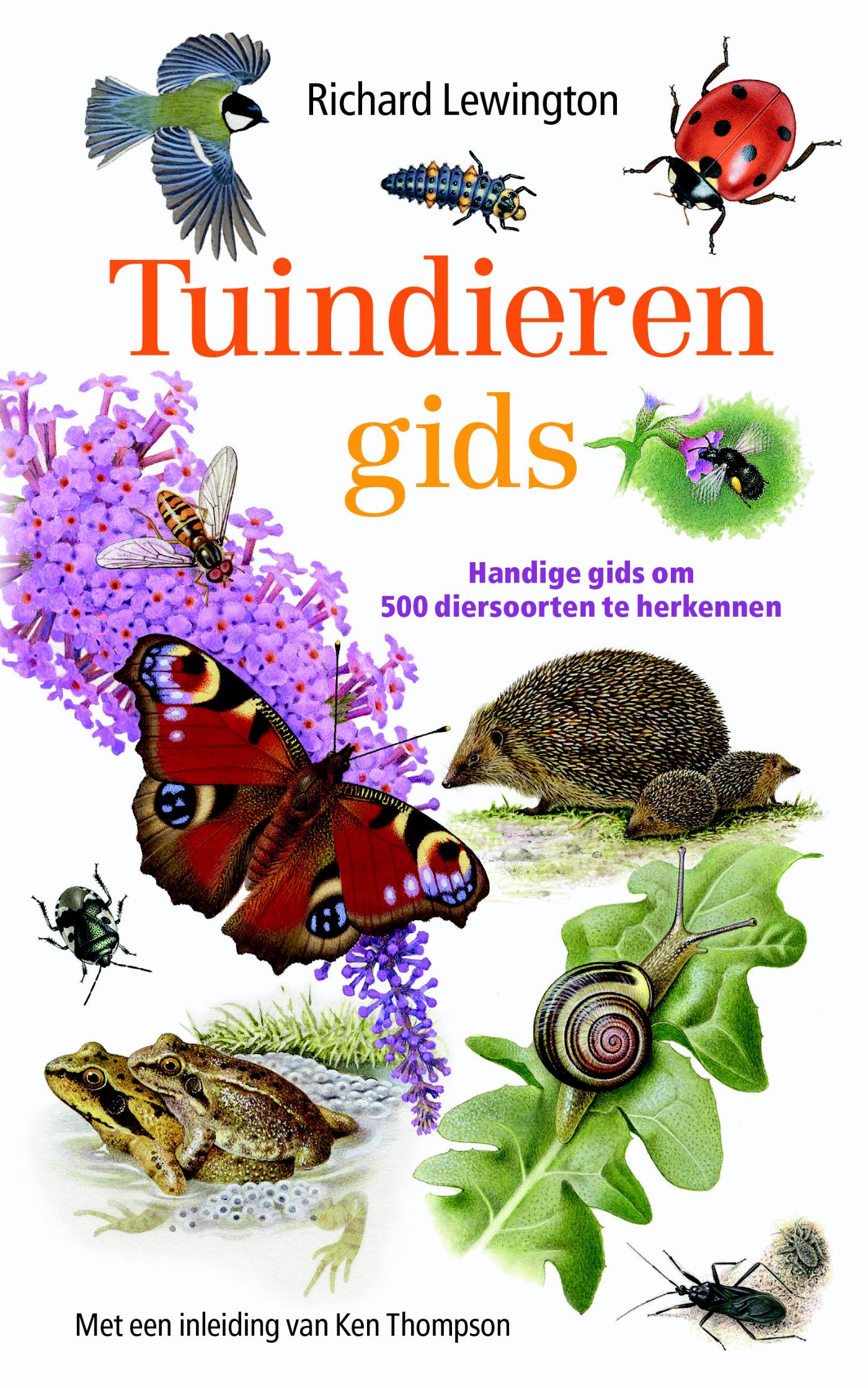 Fg 006 Guide Garden Wildlife Co Ed