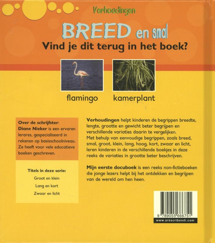 Verhoudingen  -   Breed en smal achterkant