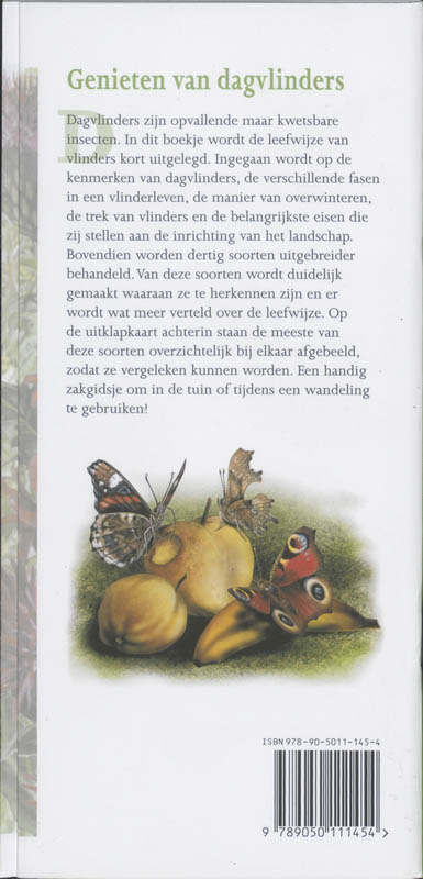 In beeld 5 - Dagvlinders in beeld achterkant