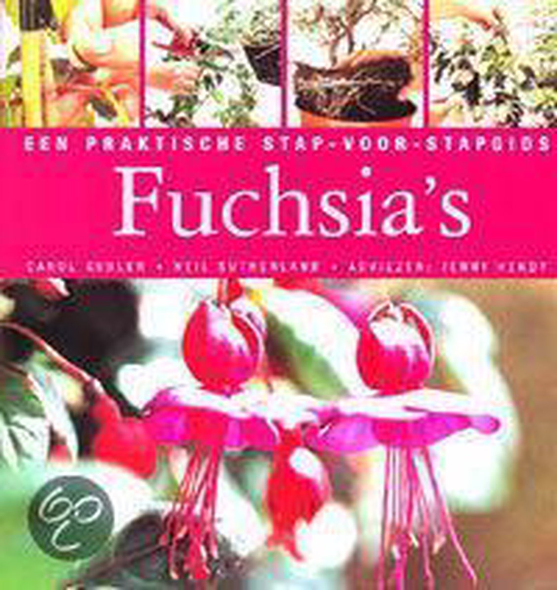 Fuchsia's