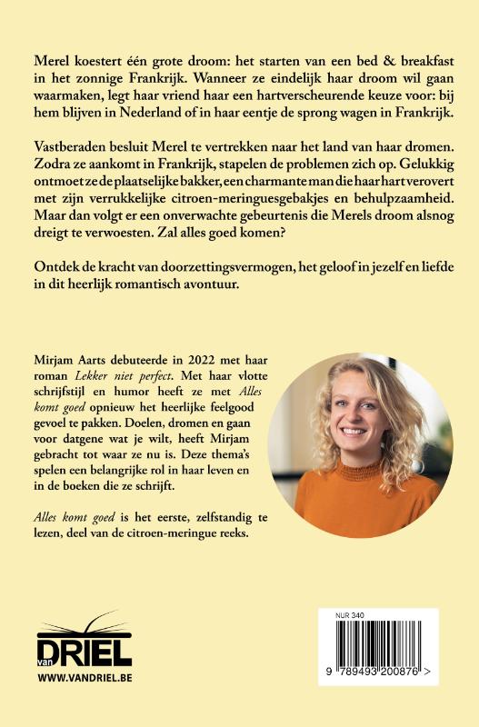 Alles komt goed / Citroen meringue / 1 achterkant