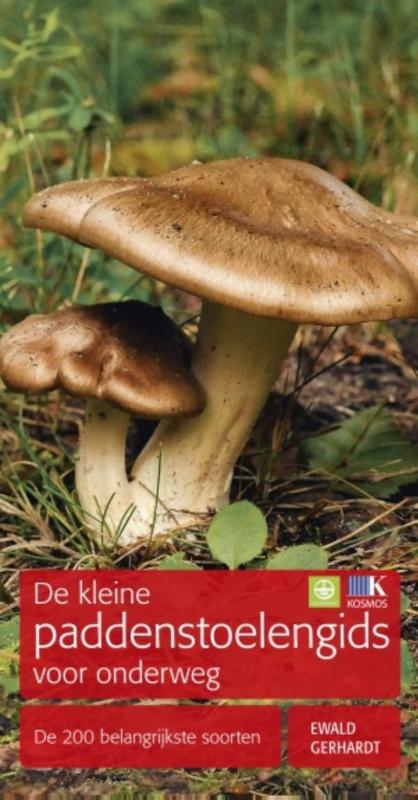 De kleine paddenstoelengids voor onderweg
