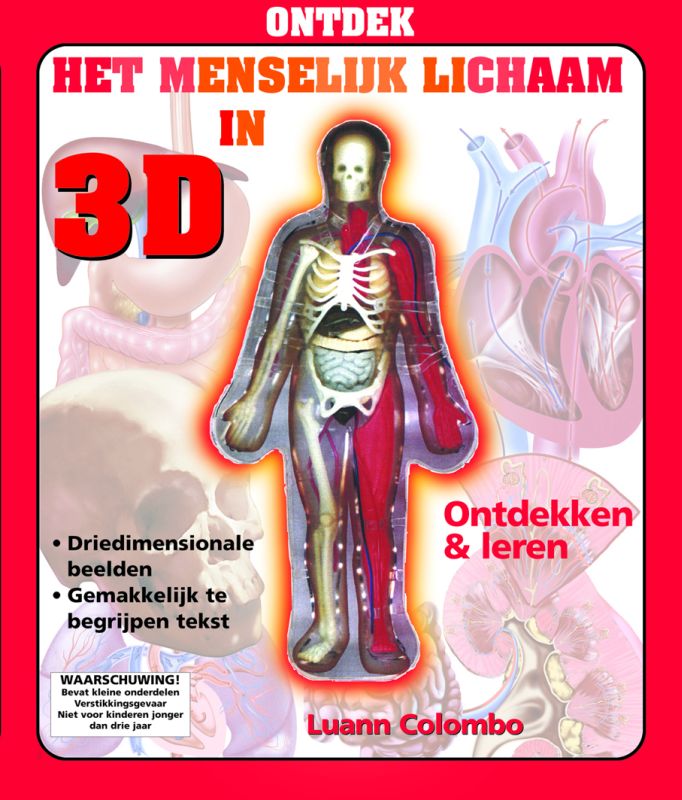 Ontdek Het Menselijk Lichaam In 3D