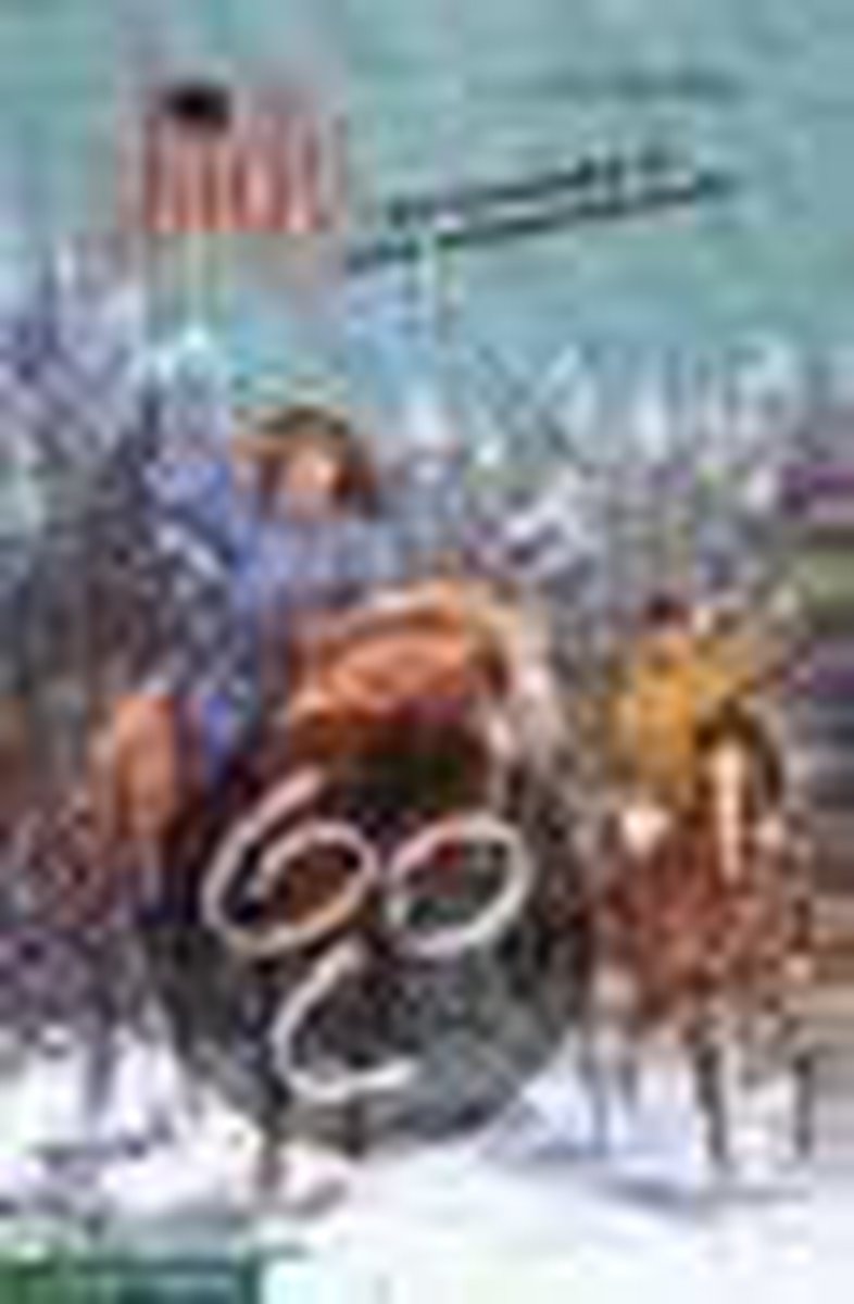 Verdwaald in een sneeuwstorm / Verdwaald in een sneeuwstorm / De boekenplank