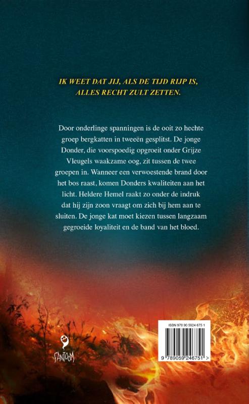 Donderwolken achterkant