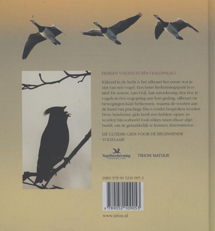 Herken de vogel achterkant