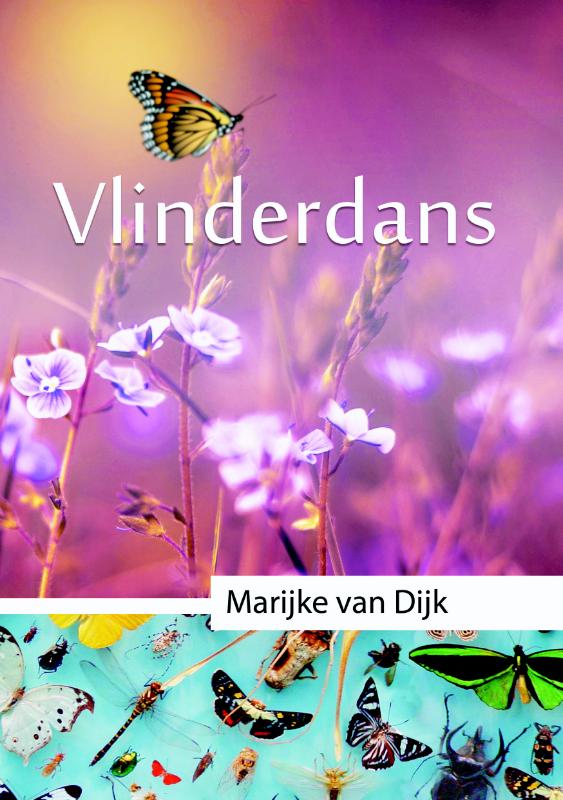 Vlinderdans / Vlinderdans / 3