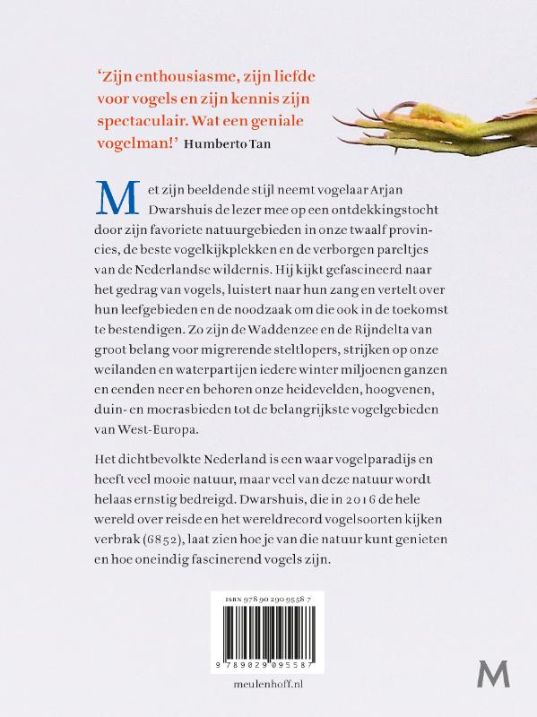 Zomergasten, doortrekkers en overwinteraars achterkant