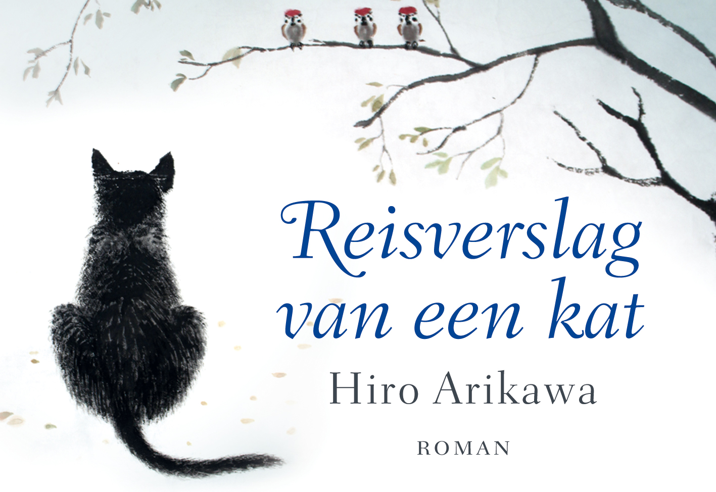 Reisverslag van een kat