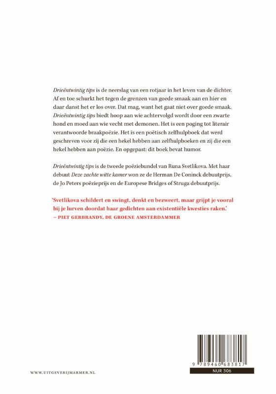 Drieëntwintig tips om de hond en je demonen aan de lijn te houden achterkant