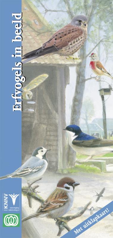 In beeld 24 - Erfvogels in beeld