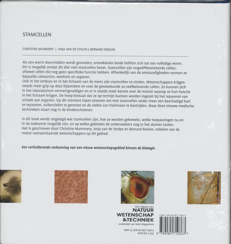 Stamcellen achterkant