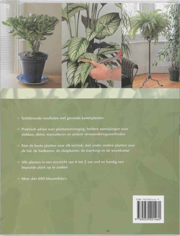 Kamerplanten achterkant
