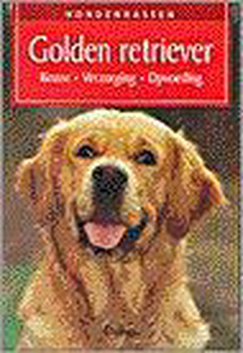 Golden retriever / Hondenrassen