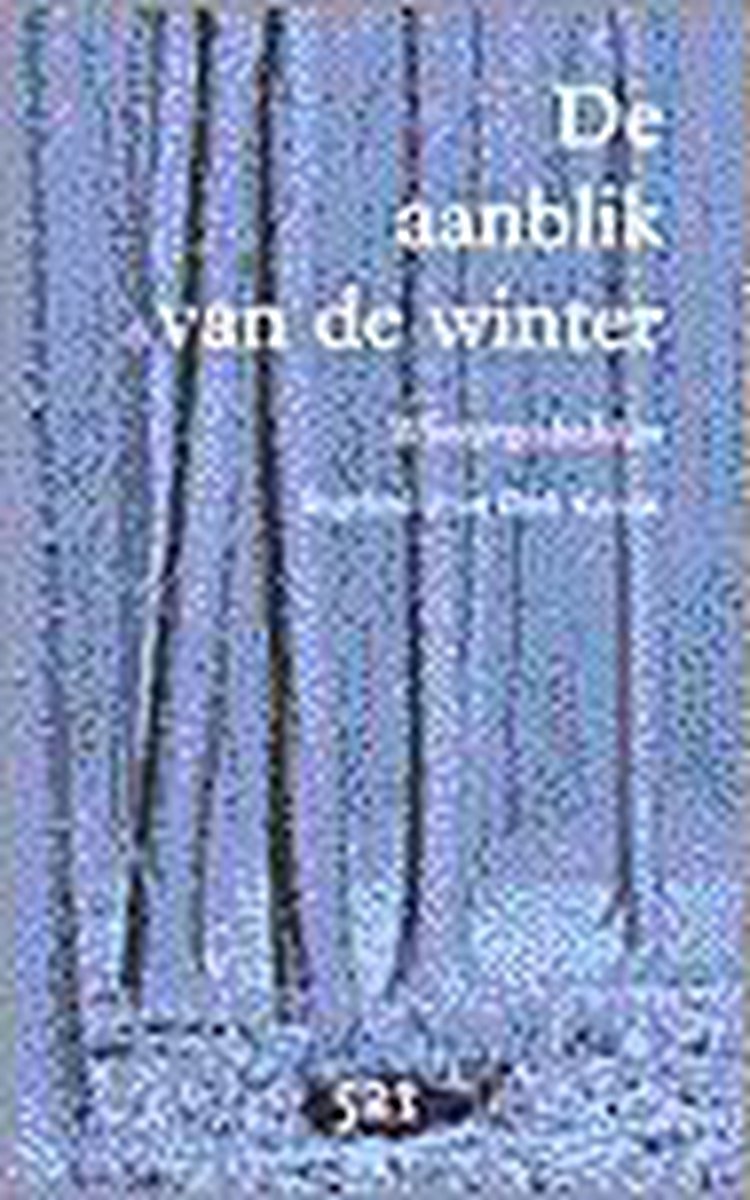 De Aanblik Van De Winter