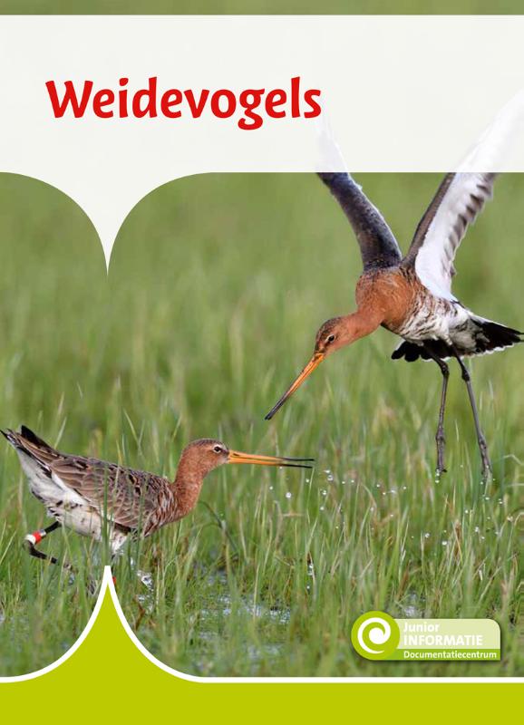 Weidevogels / Junior Informatie / 115