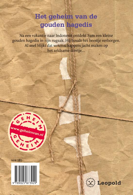 Het geheim van de gouden hagedis achterkant