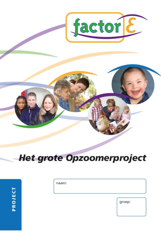 Factor-E Het grote opzoomerproject Project