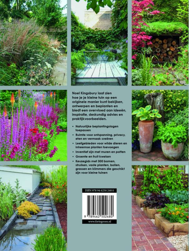 De nieuwe kleine tuin achterkant