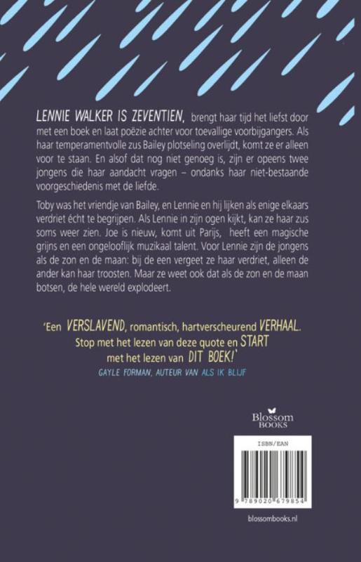 De hemel begint bij je voeten achterkant