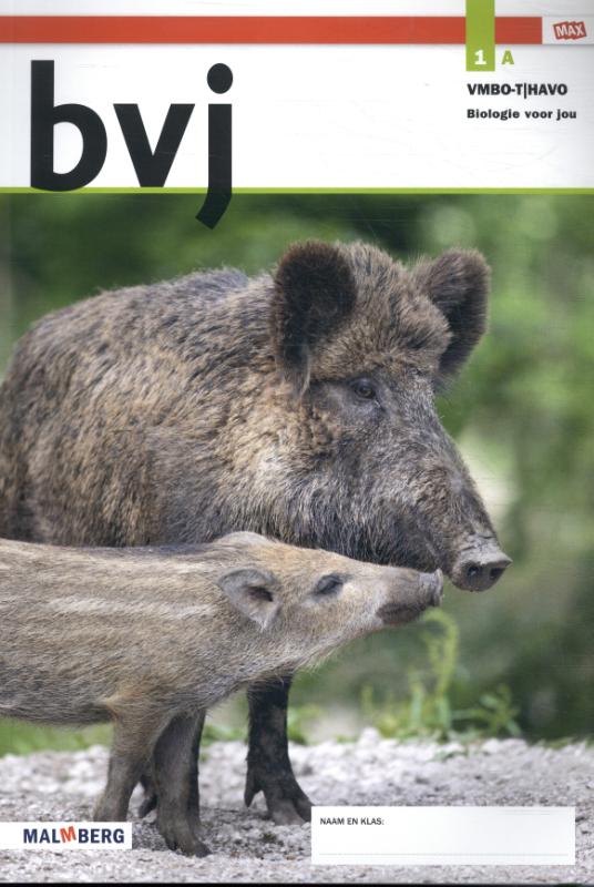 bvj MAX 1 vmbo-t/havo Deel A