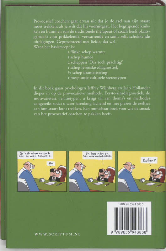 Succes is ook niet alles achterkant