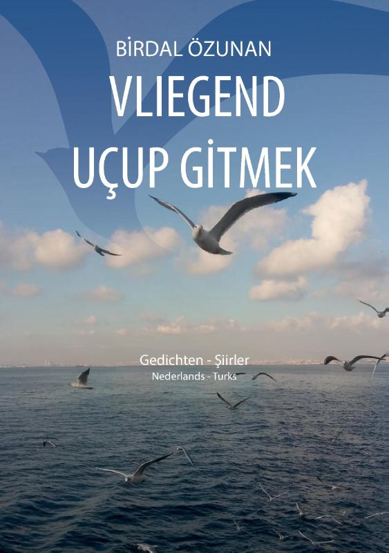 Vliegend uçup gitmek