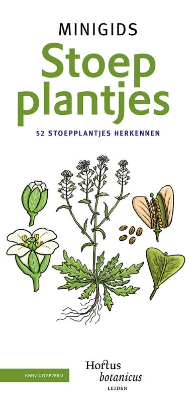 Minigids  -   Minigids Stoepplantjes