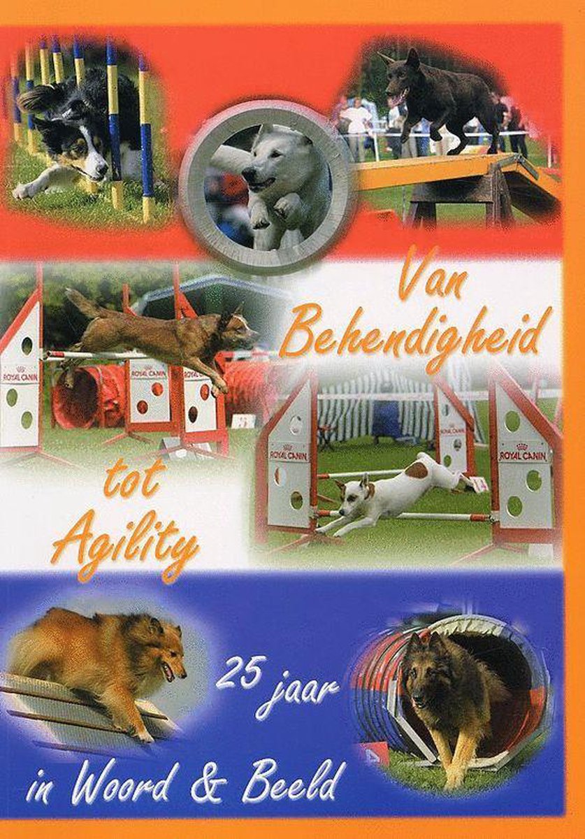 Van Behendigheid tot Agility