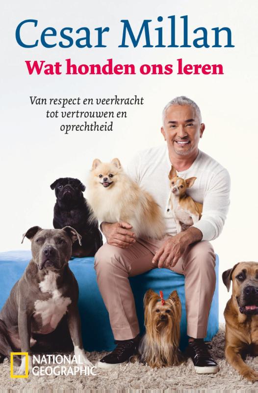 Wat honden ons leren