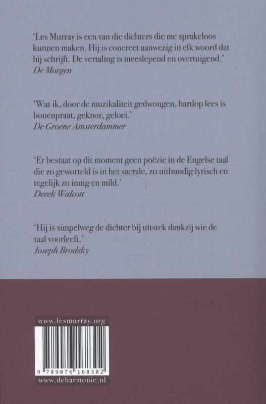 De planken kathedraal achterkant