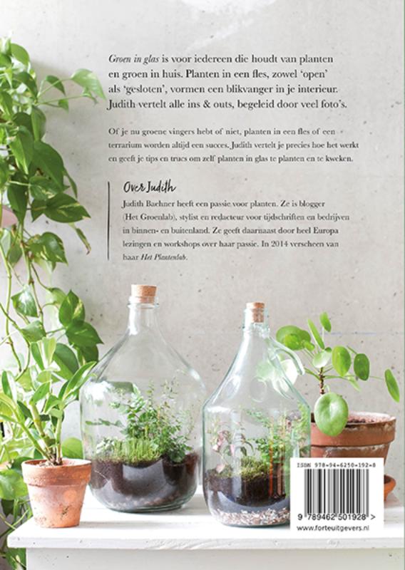 Groen in glas achterkant