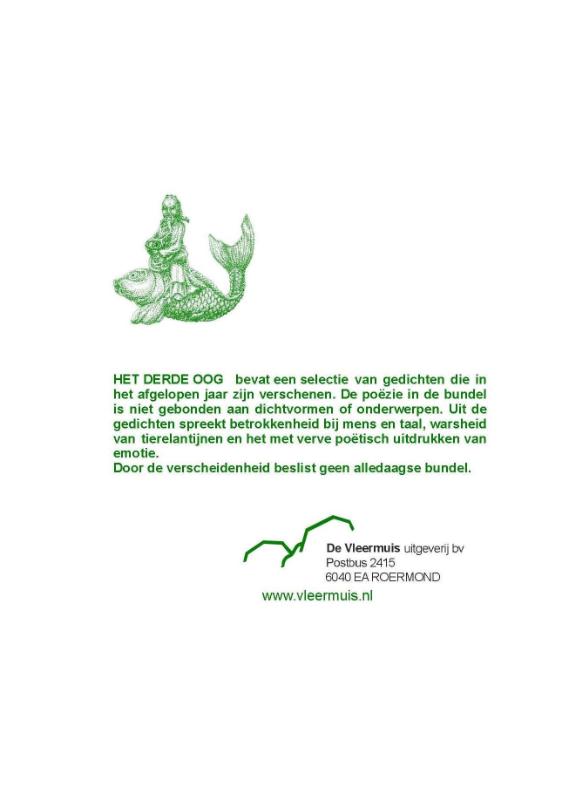 Het Derde Oog achterkant