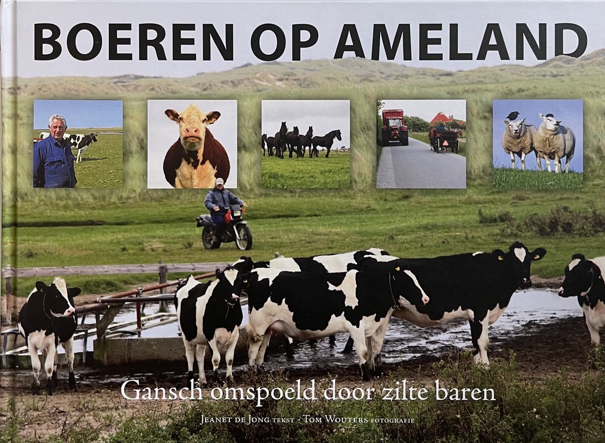 Boeren op Ameland