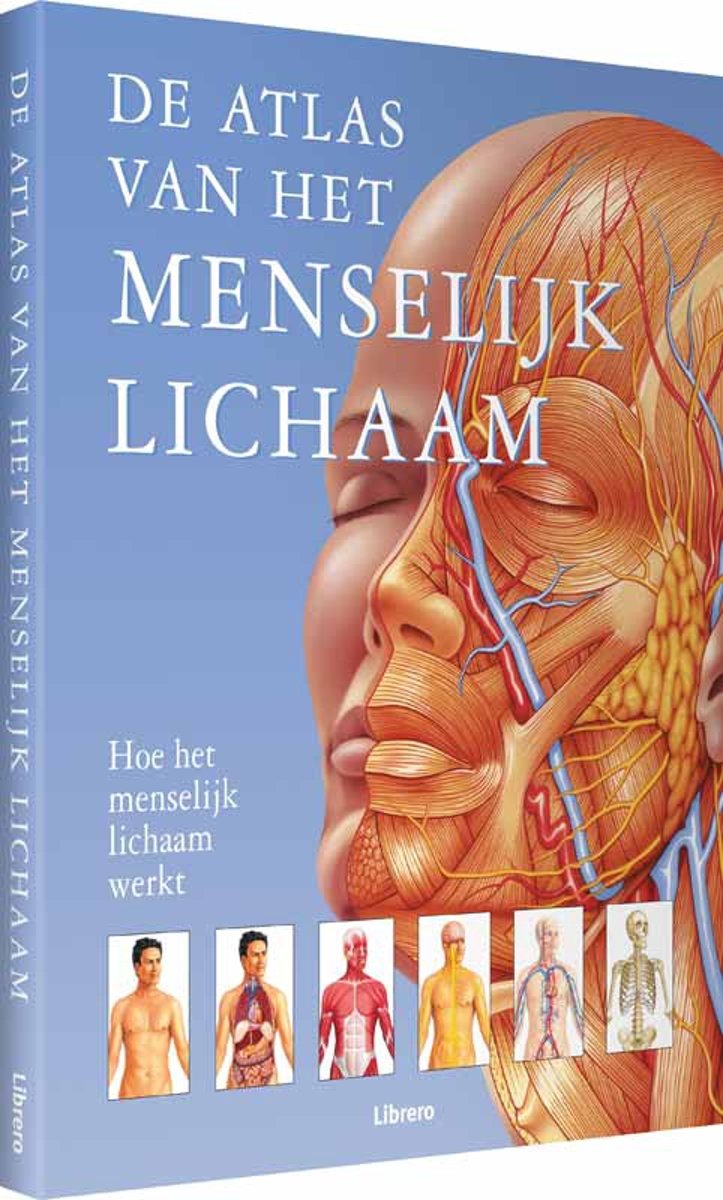 atlas van het menselijk lichaam