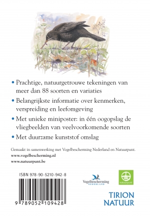 Tuinvogels / Compactgids achterkant
