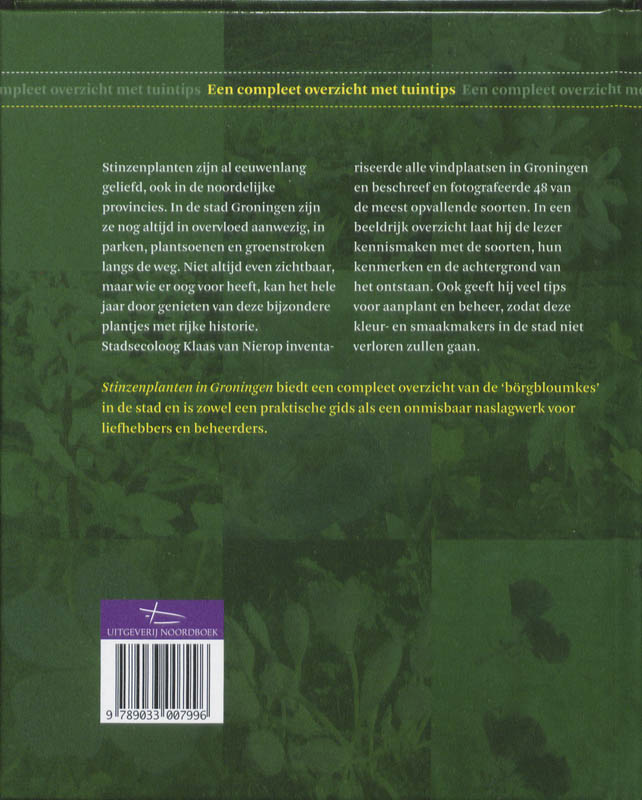 Stinzenplanten in Groningen achterkant