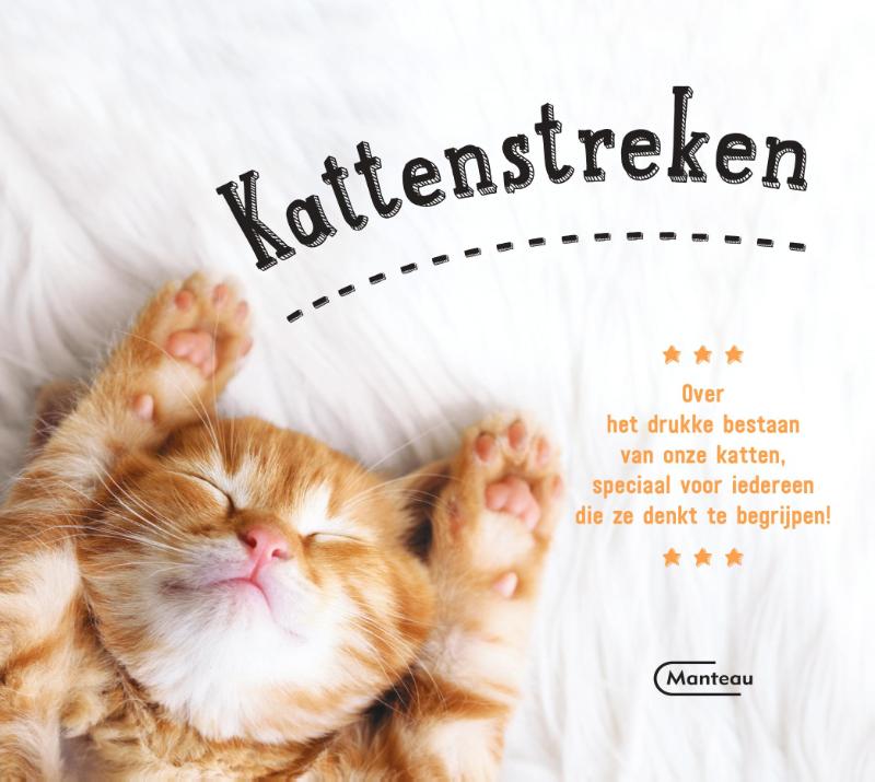Kattenstreken