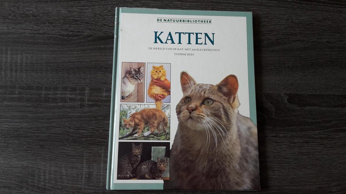 Katten
