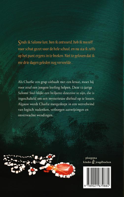 Salomé Snel en de onzichtbare juwelendief achterkant