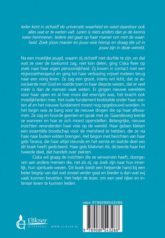 De ziel in een vreemd land achterkant