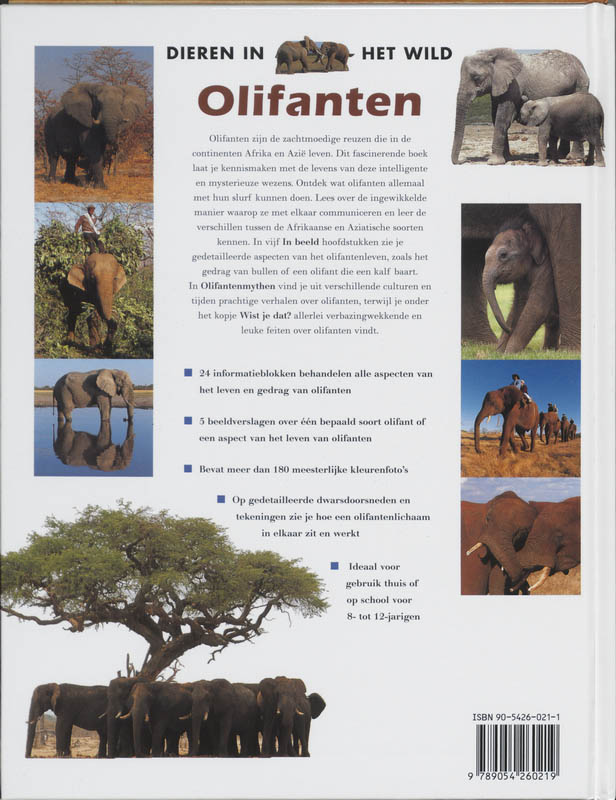 Olifanten / Dieren in het wild achterkant