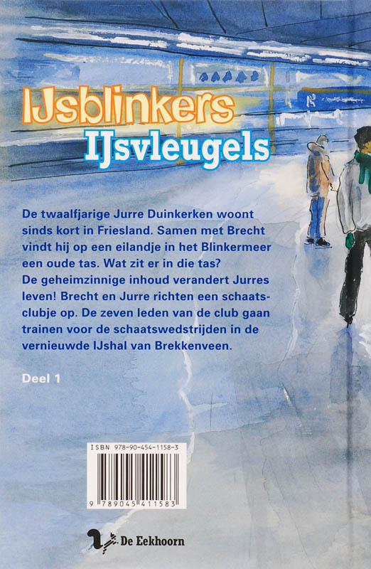 Ijsvleugels achterkant