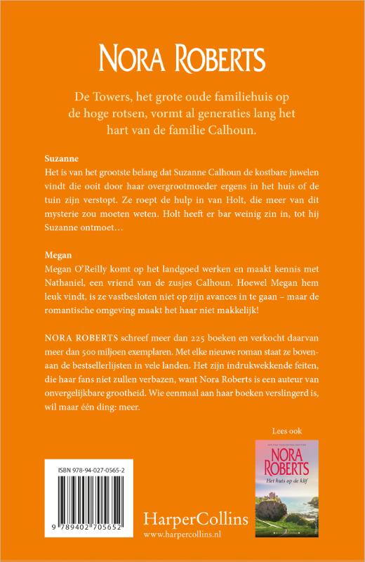 Aan de wilde kust achterkant