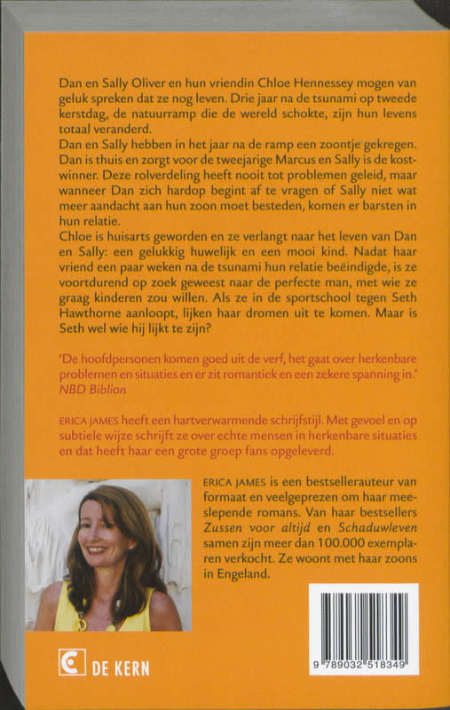 De kleine dingen achterkant