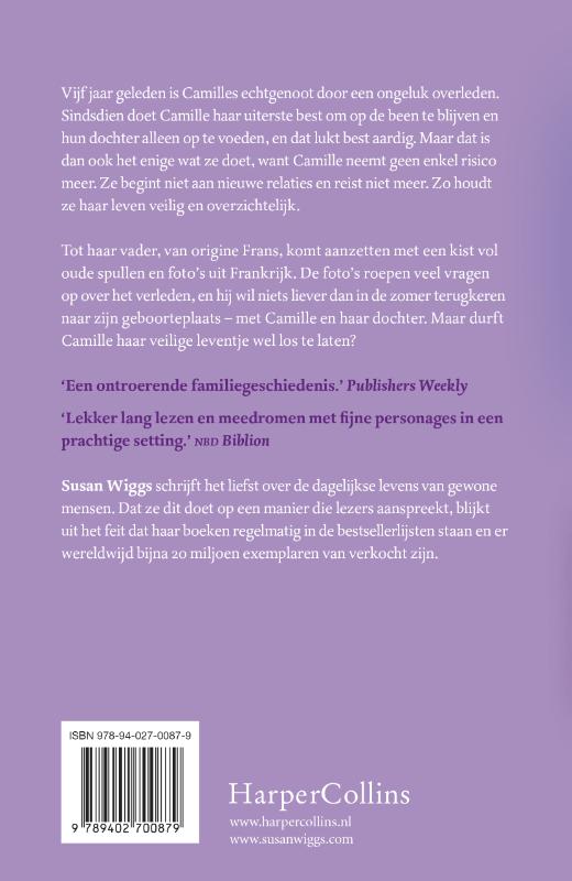 De zomer dat alles anders werd achterkant